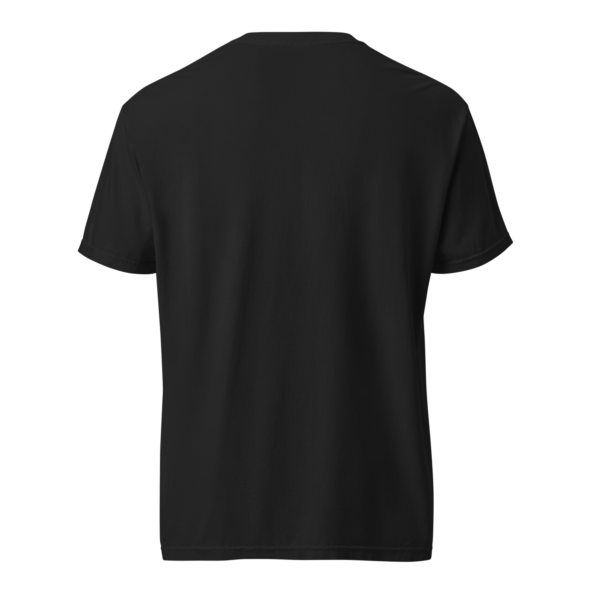 Age of Aranceles 2 (Playera)